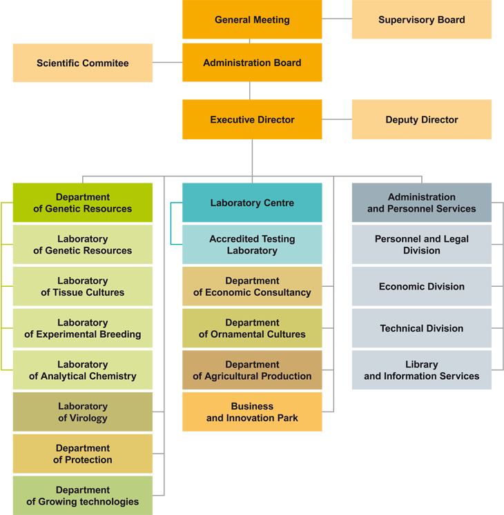 Organizational structure