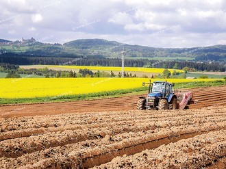 Separace kamenů a hrud před sázením brambor